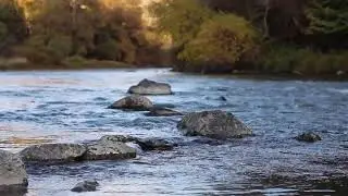 Relaxing wind and water sound