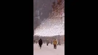 Бережёного бог бережёт. Чиж и Ко.