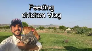 Morning routine in beautiful village life vlog