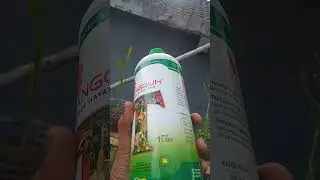 Yang dibutuhkan tanaman