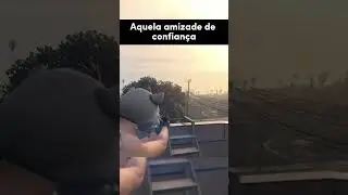 Aquela amizade de confiança... #shorts #gta5