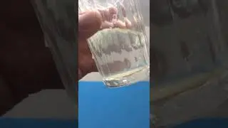 В соли грязь 