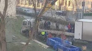 Вывозят дельфинов, дельфинарий Санкт-Петербурга 10.12.2020