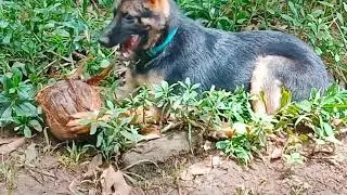 playing with pryna🤣🤣