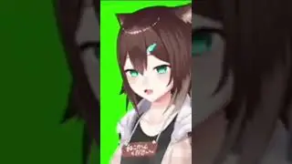 #fumino #vtuber #fuminotamaki #втуберы  #野良猫三一厶