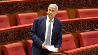 عيد الاضحى : الحكومة تؤكد استيراد أكثر من 600 ألف رأس من الغنم