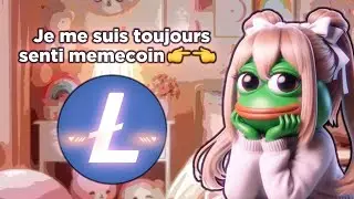LITECOIN FAIT SA TRANSITION ET ASSUME ÊTRE UN MEMECOIN ! 😊 – DEFI ACTUS