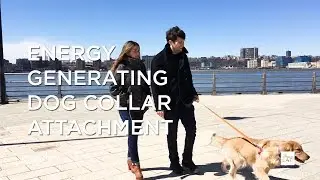 The Power Lab: Energy Generating Dog Collar Attachment | Uncharted Power