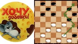 Who needs supplements? A new batch of checkers beauties!