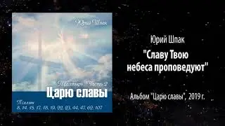 Юрий Шпак, 