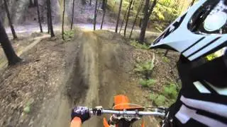Las, górki, lamienie - KTM SX 125