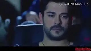 SEVGI IZTIROBI KAMOLNI PICHOQLAB KETISHDI