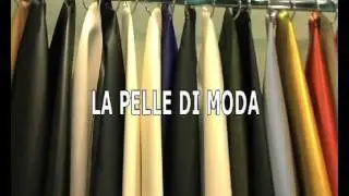 05-11-2011 Tg Flash Economia - Protagonisti del Tempo