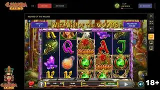 Wizard of the Woods Slot Machine - Big Win on Free Spins Bonus