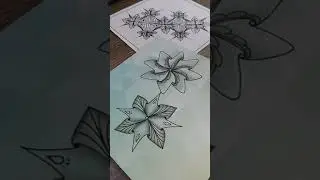 Stella tangle by Jana Rogers | Doodle Pattern | Zentangle doodle