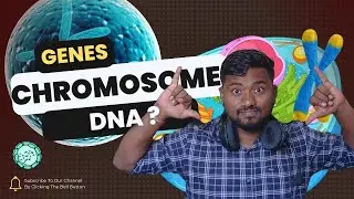 Basics of Genetics: Genes, Chromosomes, and DNA Explained | The Biology Guru 🌱🔬
