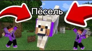 Приручил Пёселя, Выживание в Майнкрафт *2 серия*