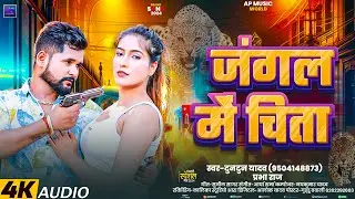 #Audio।जंगल में चिता।#Tuntun_Yadav,#Prabha_Raj।Jungle Me Chita।New Rangdari Song 2024