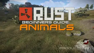 Ultimate Rust Beginners Guide (UPDATED)