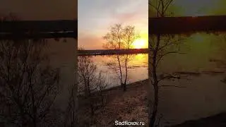 Половодье на Оке