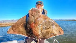 Catch and Cook Massive Ray (SURPRISING Taste)!