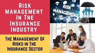The Management of Risks in the Insurance Sector. Risk and Risk Management in the Insurance Industry