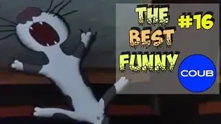 Лучшее COUB \ Лучшие Приколы \ Смешное Видео