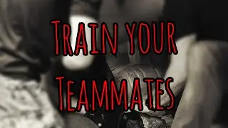 The Basics: Train your Teammates