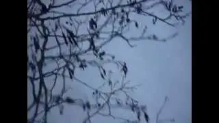 Sammanfattning av helgen