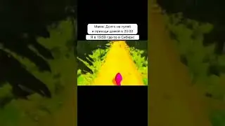 Хоп, хоп 