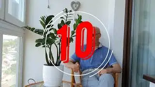 10 ошибок при выращивании замиокулькаса.