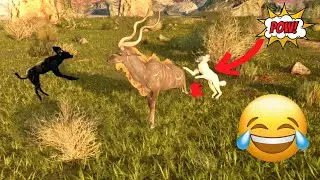 Solo Kudu Adult VS WildDog Pack - Animalia Survival