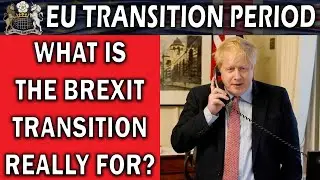 What the Brexit Transition Period Is Really For