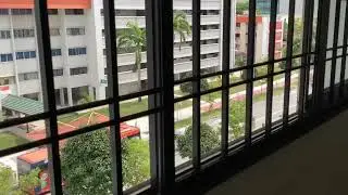 A nice view