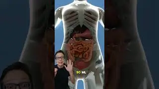 Crescimento da Barriga 😱