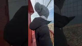 Поднялись на маяк в Поти