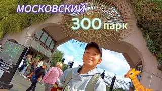 ✨МОСКОВСКИЙ ЗООПАРК✨ цены и обзор. #московскийзоопарк #белыймедведь #панда #обзор