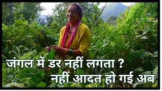 जंगल में डर नहीं लगता ?  || Rural Life In India - Uttarakhand
