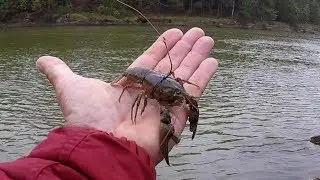 Fishing With Crawfish - Tips and Techniques