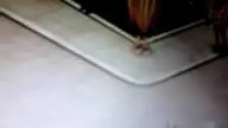 Правда или действие 2 часть!(1)