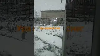 первый снег у меня во дворе