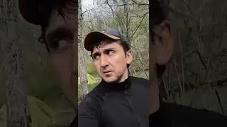 Куда отправится путешествовать по Башкирии? #путешествия #туризм #башкортостан #восхождения #горы