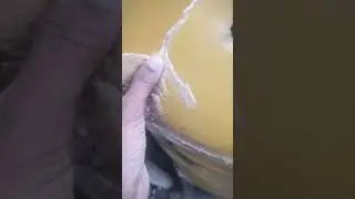 part 2 petrol + tharmacol