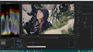 Panasonic GH5 FREE LUT Download (ADOBE PREMIERE PRO)