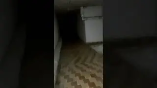 ЖЕСТЬ В ПОДВАЛЕ #енот #funny #love #sports #trending #recomm #belarus #nature #food #horrorstories