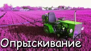 Опрыскивание пшеницы самодельным опрыскивателем на минитрактор 2022 г.