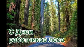 18 сентября - С Днем работников леса и лесоперерабатывающей промышленности!
