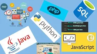 Top 5 Programming Languages to learn in 2019