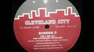 screen ll - hey mr dj