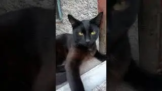 пока банда собирается, колодец охраняется